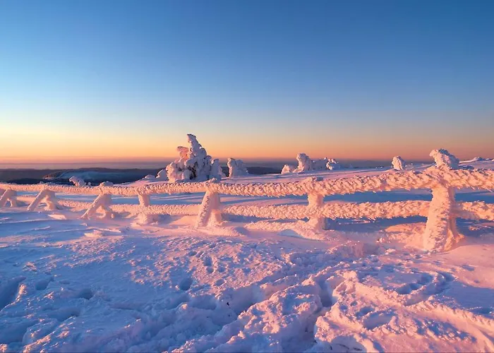 Martin 1 Апартаменты