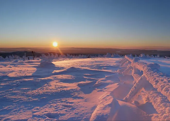 Martin 1 Апартаменты